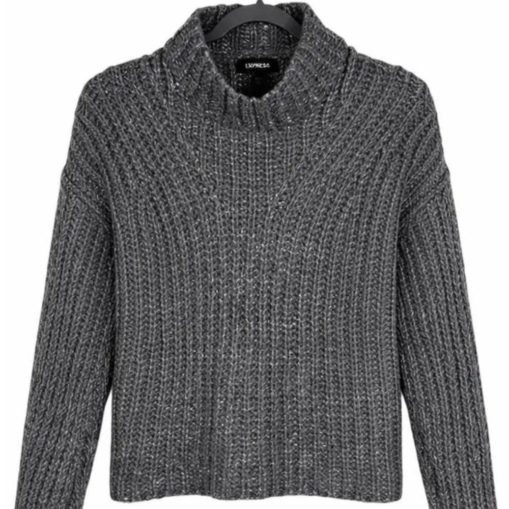 Express Dark Knit Turtleneck Sweater